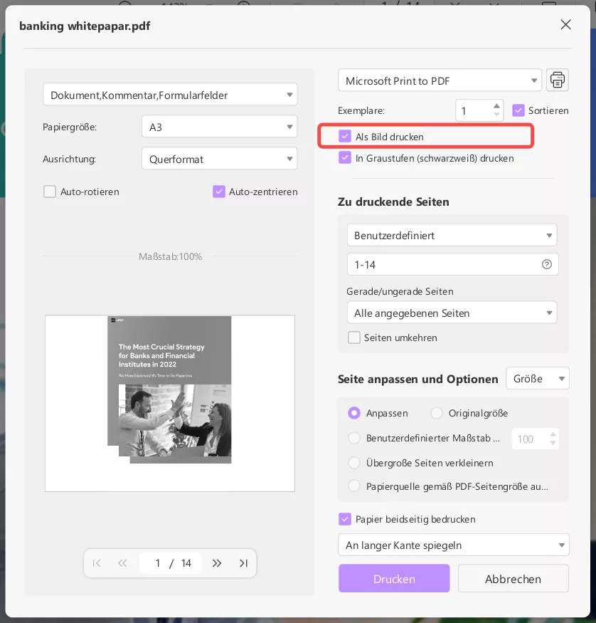 Ändern Sie die Einstellungen und klicken Sie auf „Updf drucken“.