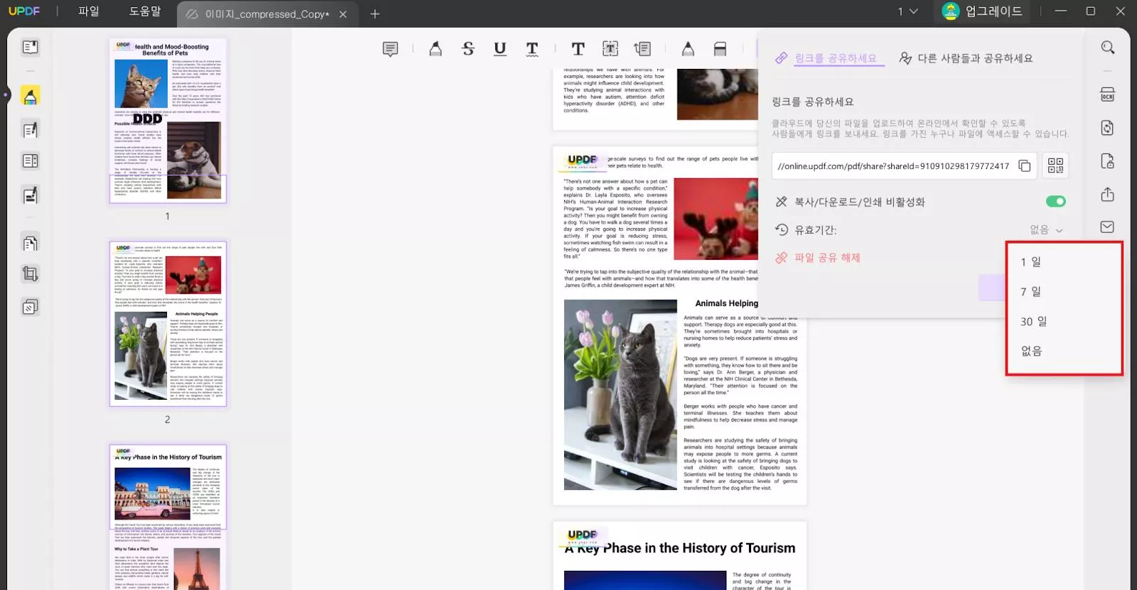 UPDF 링크 기한