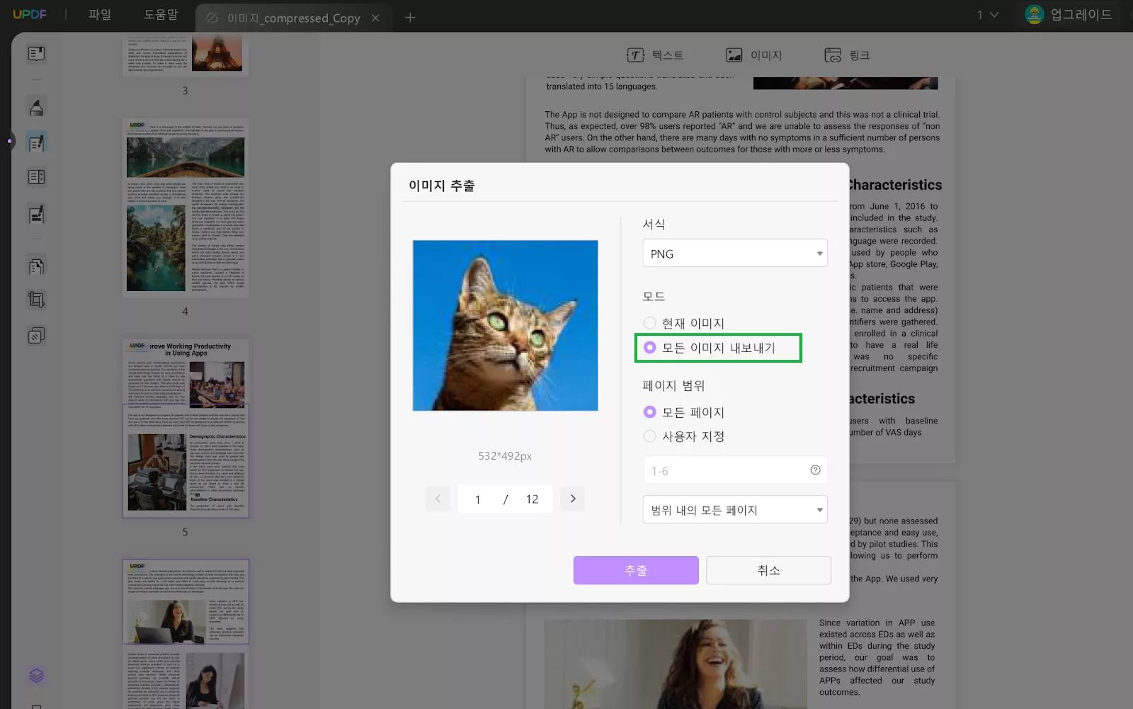 이미지 추출 대화 상자