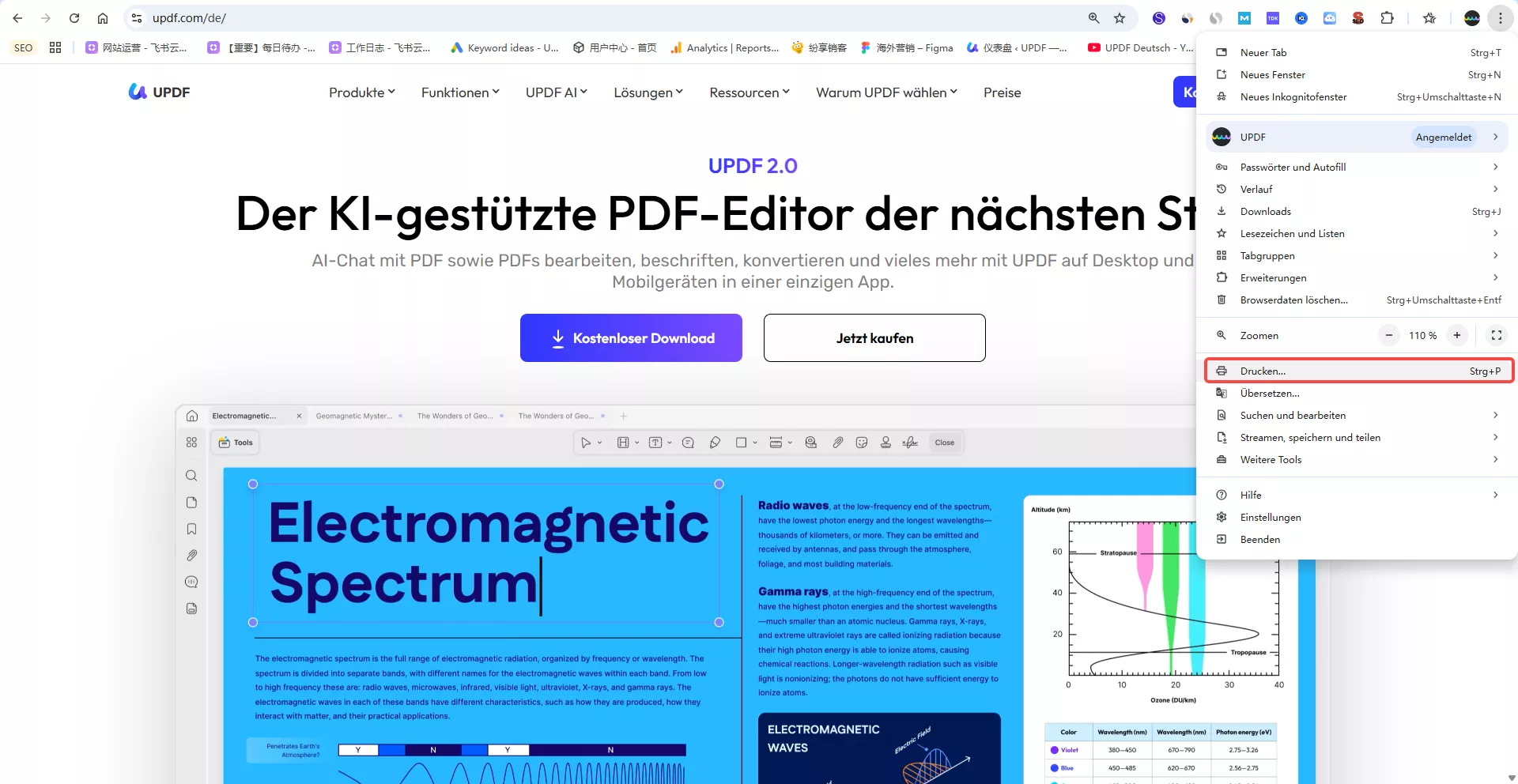 die Druckfunktion im Browser verwenden