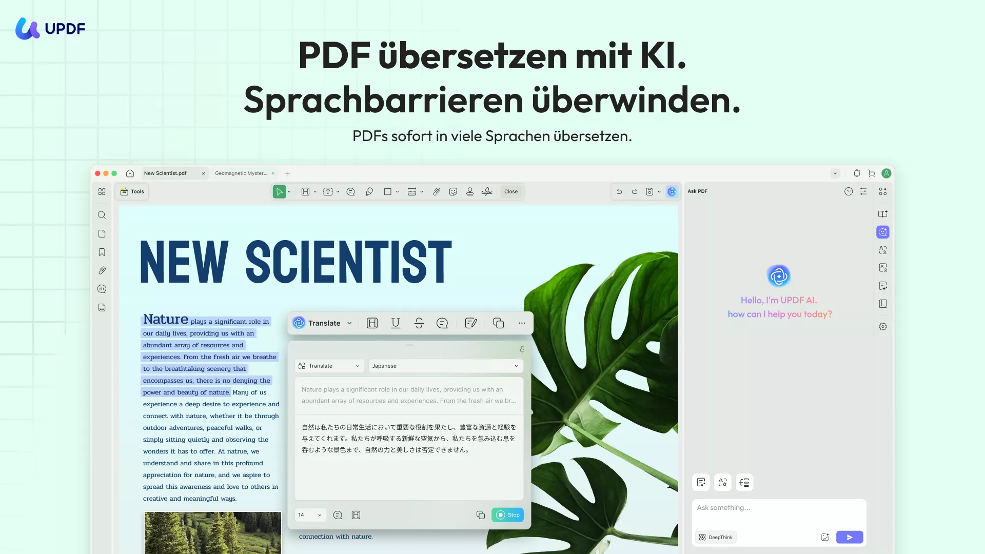 PDF übersetzen