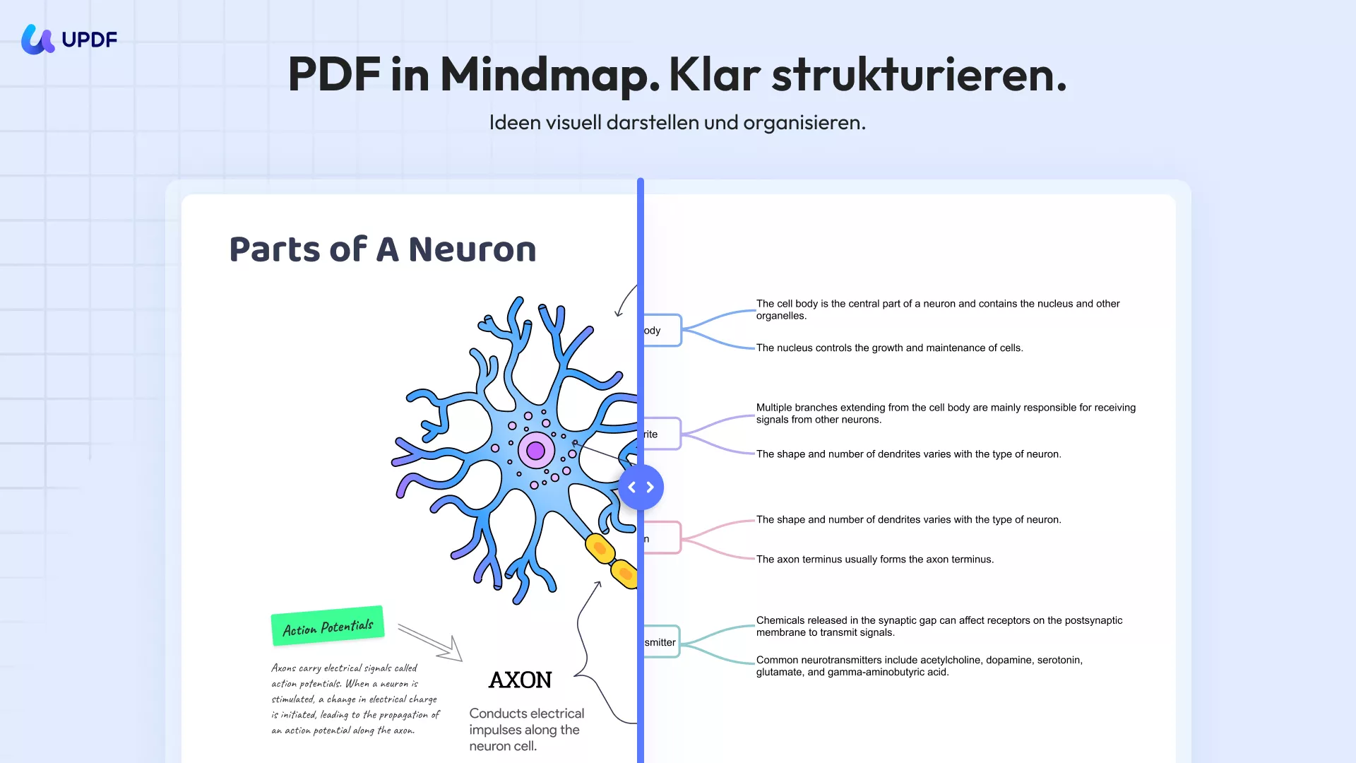 PDF zu Mind Map