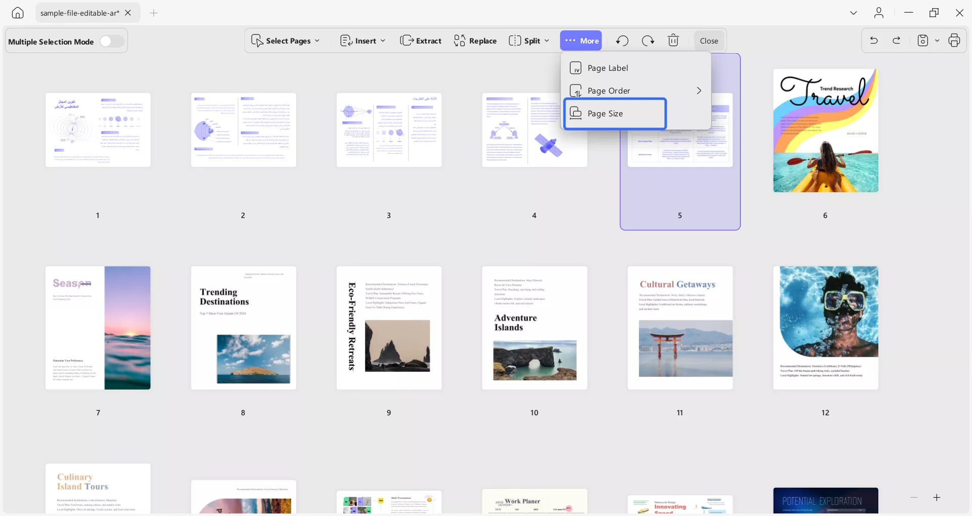 حجم الصفحة وتسمية الصفحة