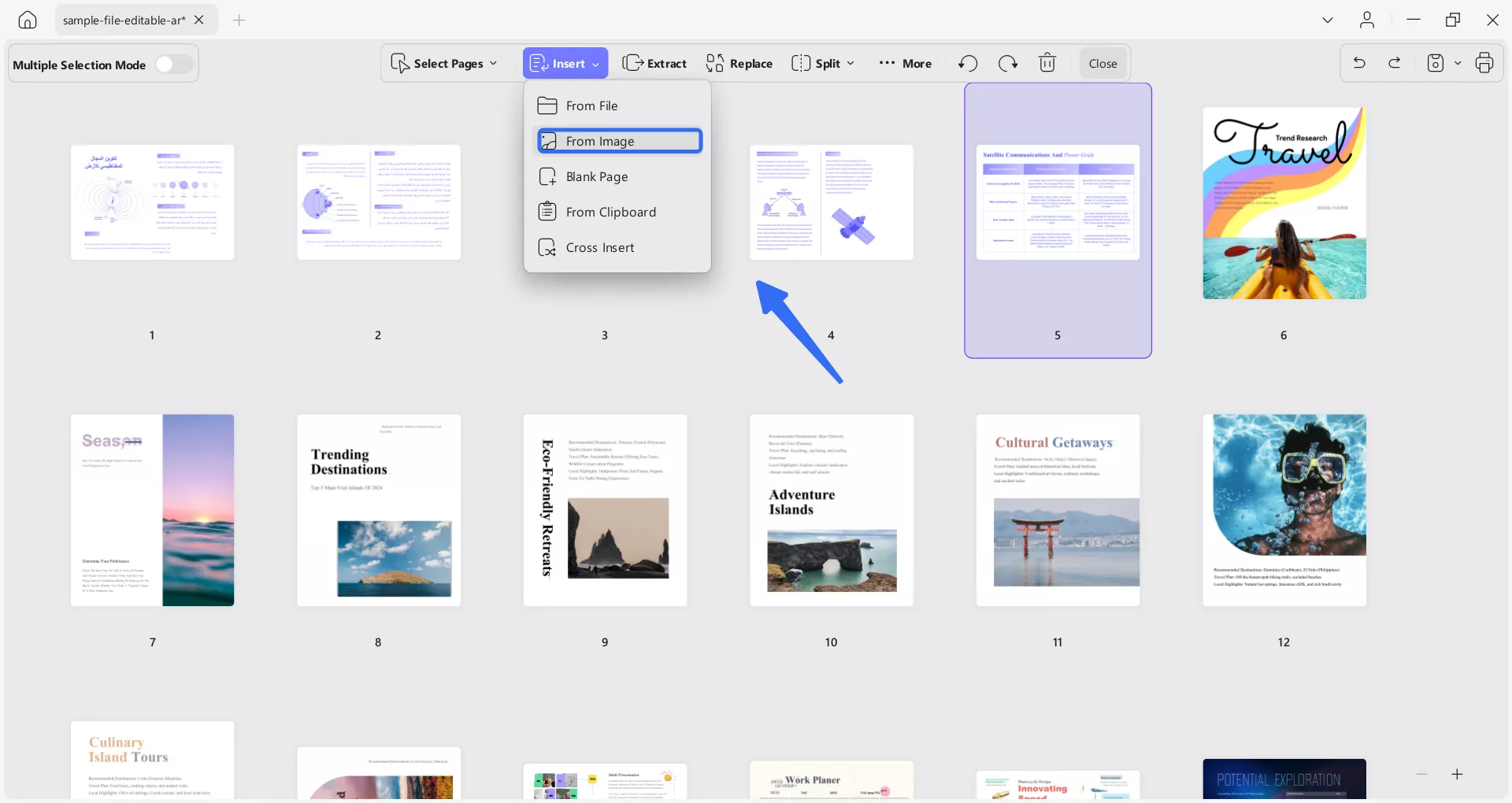 إدراج صورة كصفحة