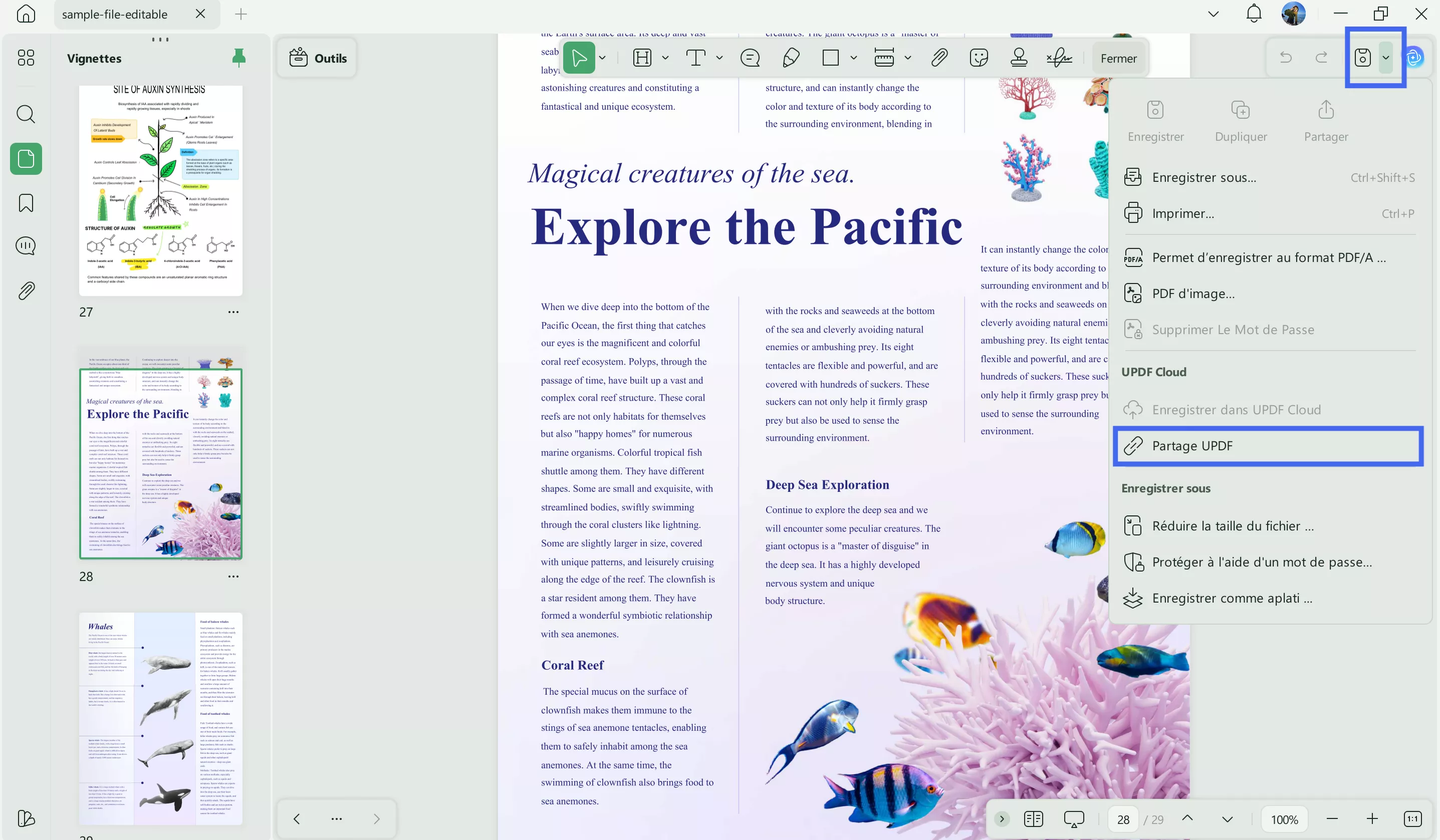 créer un lien url pour pdf