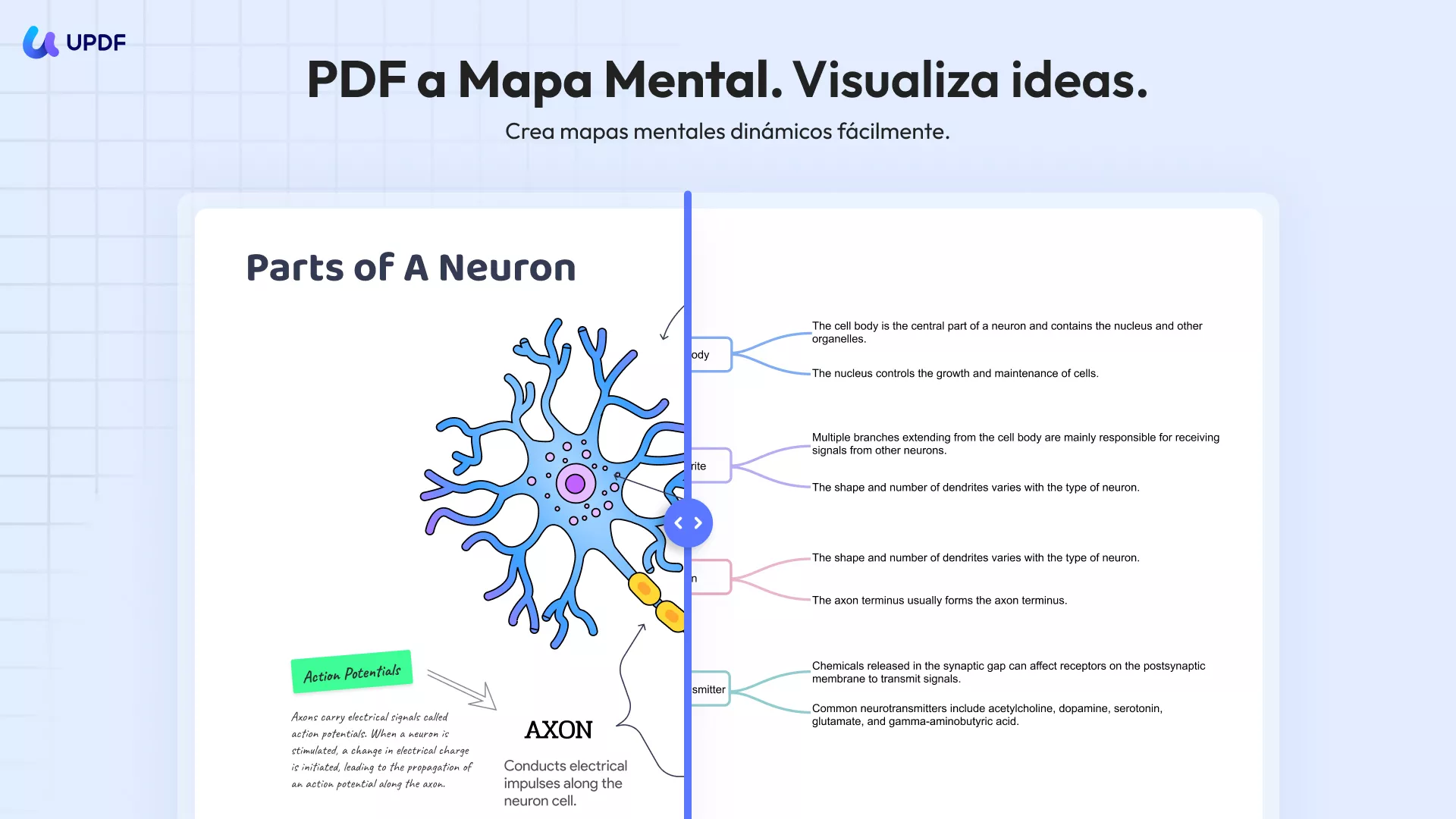UPDF convierte PDF en mapa mental