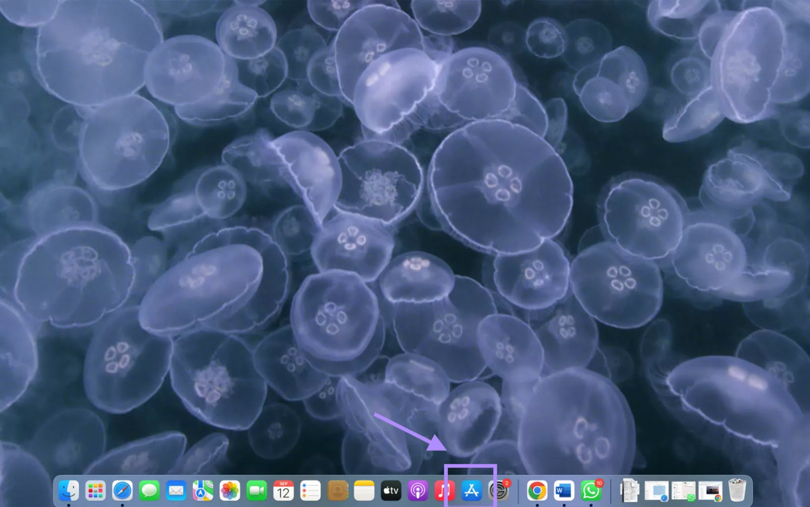 open app store to install mac