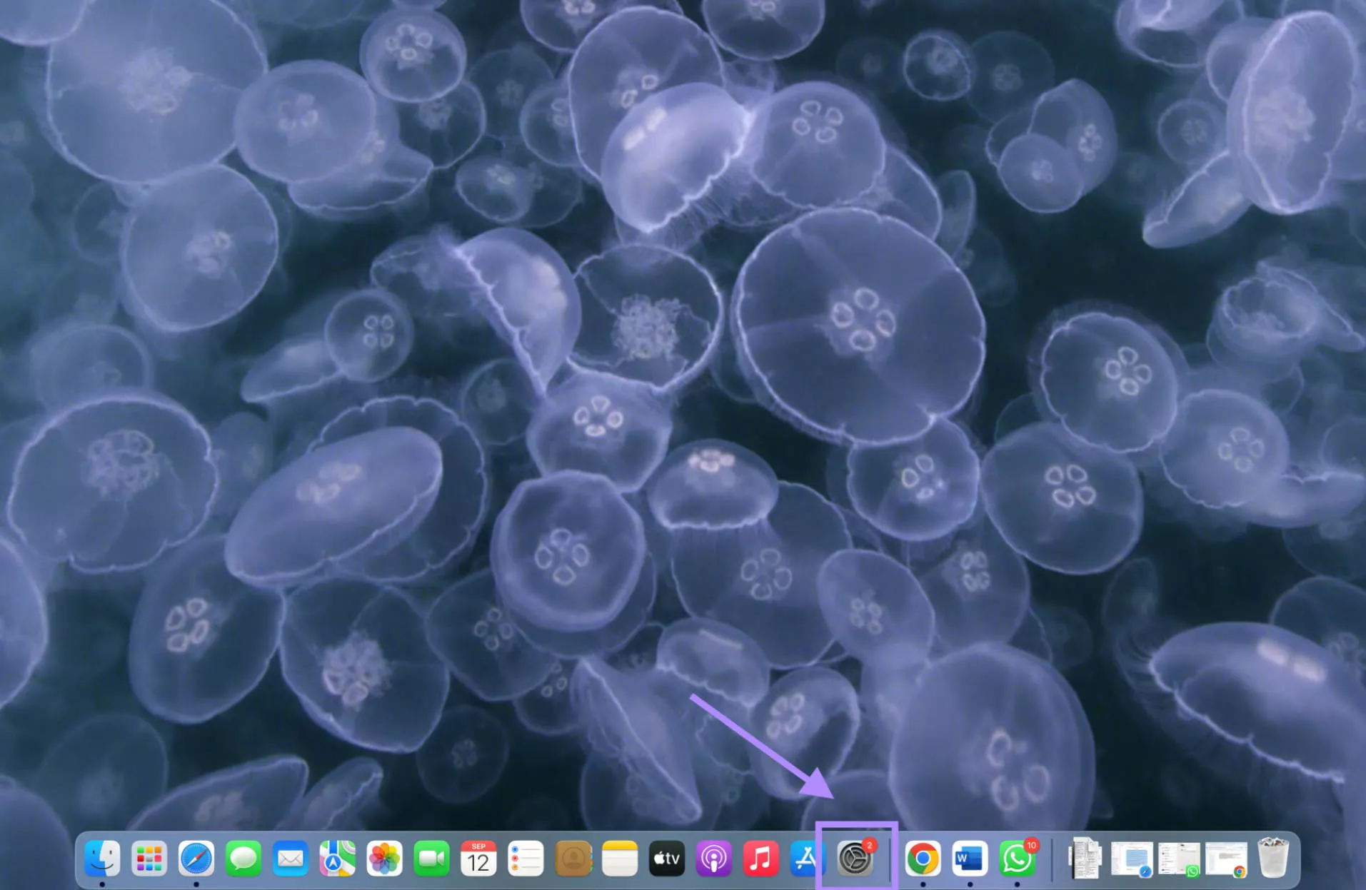 open settings from dock mac