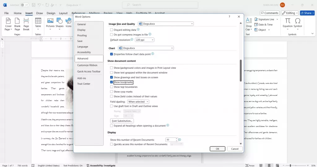 開啟書籤顯示功能