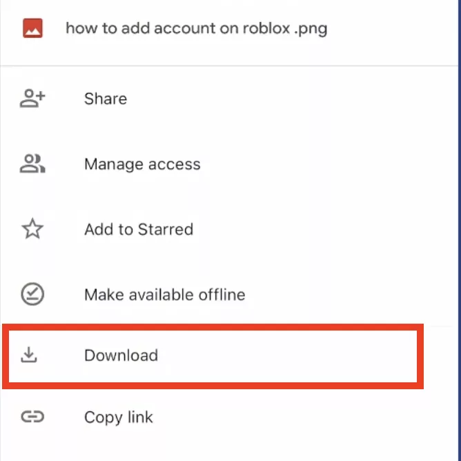 click download button