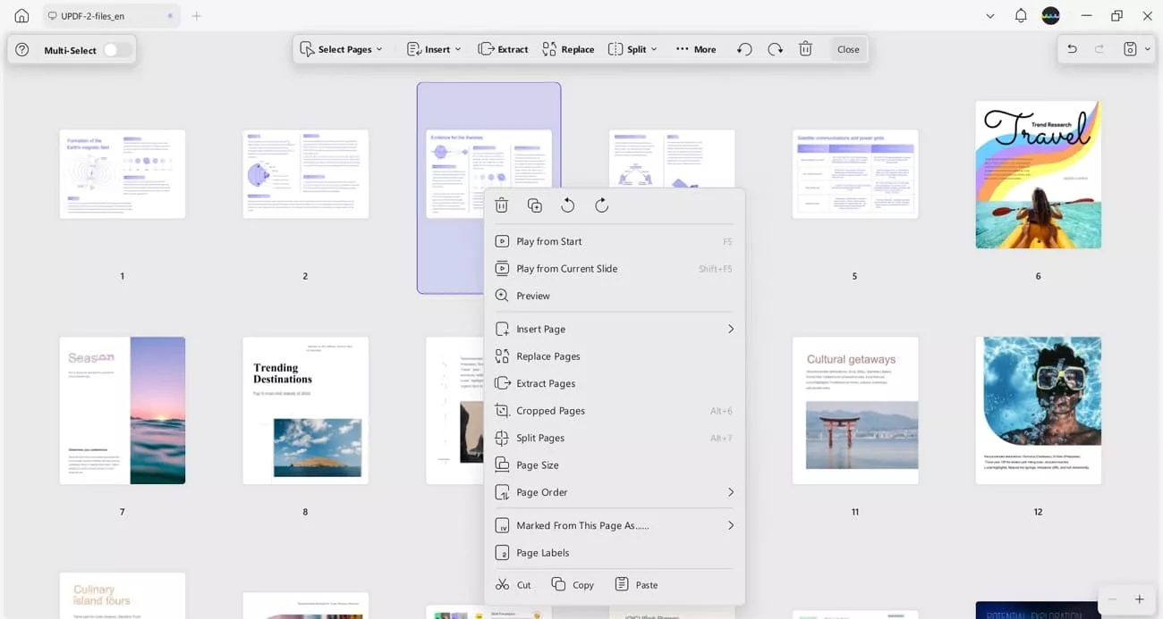 organize pdf pages updf