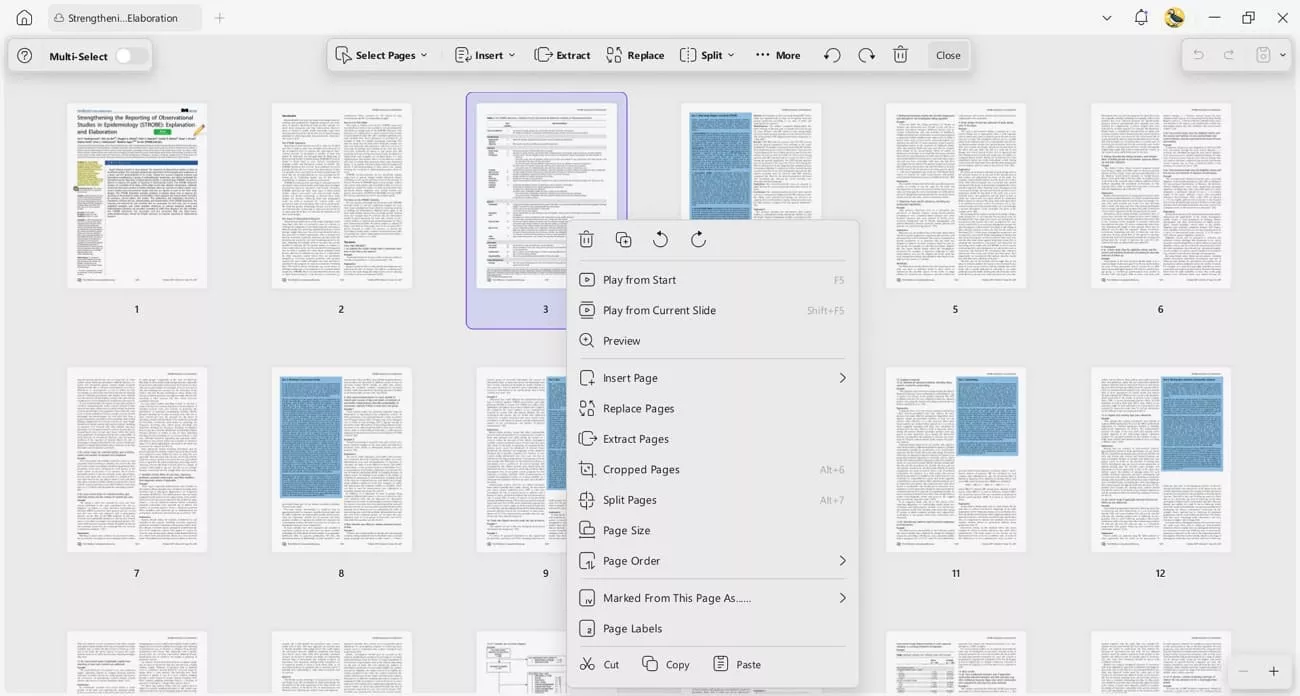 organize pdf pages better management