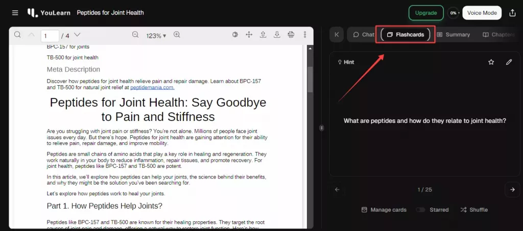 YouLearn AI 操作方式