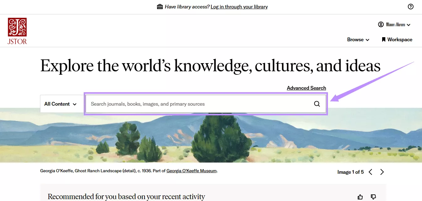 enter a search query