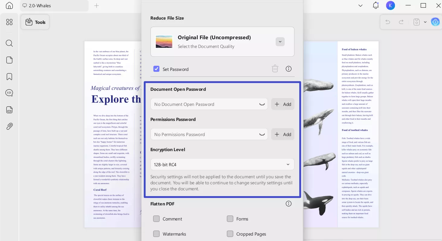 set the password in updf