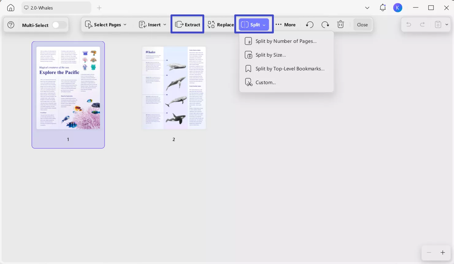 split pdf option in updf