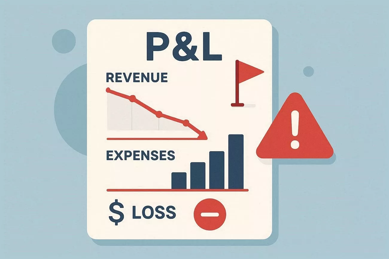 red flags notice profit loss statements