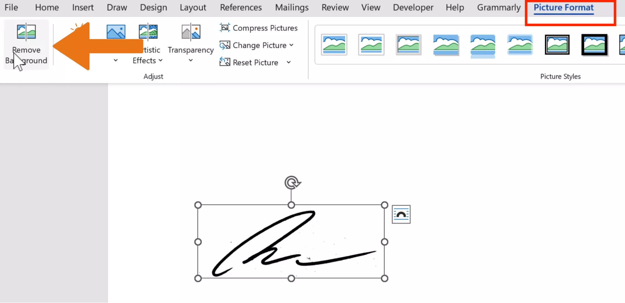 choose-picture-format